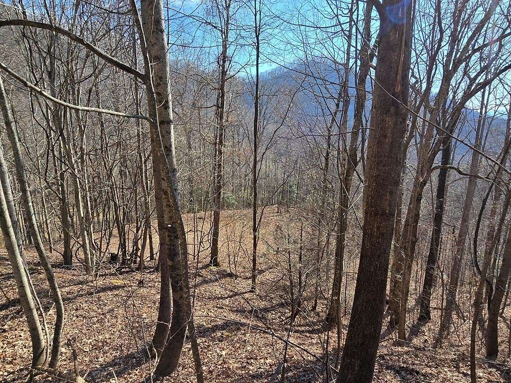 1.53 Acres of Land for Sale in Hayesville, North Carolina