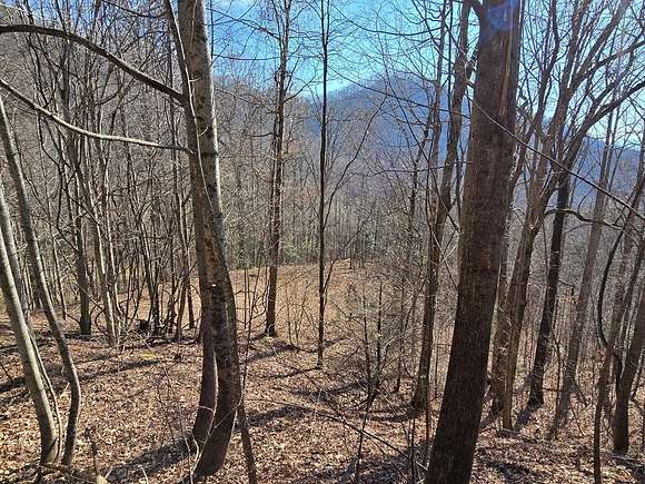 1.53 Acres of Residential Land for Sale in Hayesville, North Carolina