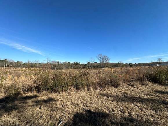 20.15 Acres of Land for Sale in Tenaha, Texas