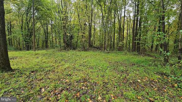 66.15 Acres of Land for Sale in Reisterstown, Maryland