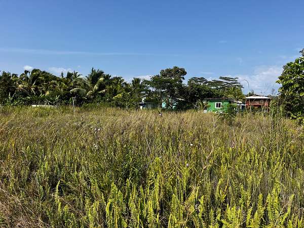 0.17 Acres of Land for Sale in Pahoa, Hawaii