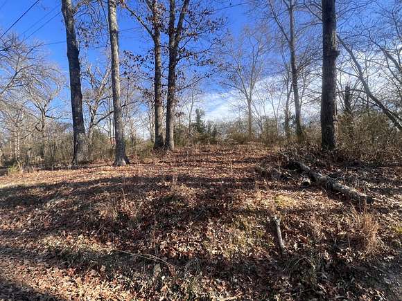 0.51 Acres of Residential Land for Sale in Bridgeport, Alabama