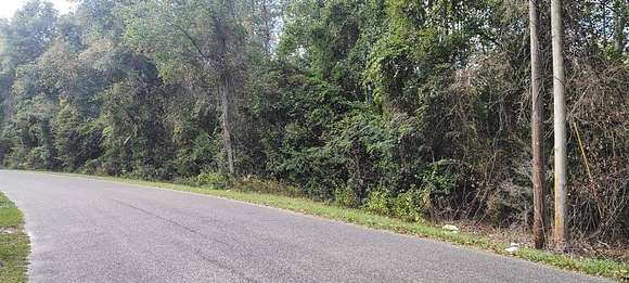 4.47 Acres of Residential Land for Sale in Opp, Alabama