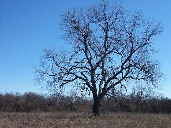 12.02 Acres of Land for Sale in Hubbard, Texas