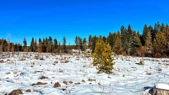 11.07 Acres of Recreational Land & Farm for Sale in Orofino, Idaho