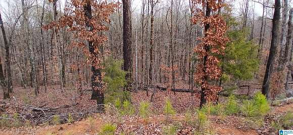 10 Acres of Residential Land for Sale in Shelby, Alabama