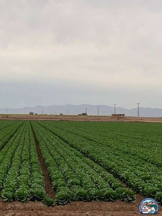 80 Acres of Agricultural Land for Sale in Westmorland, California