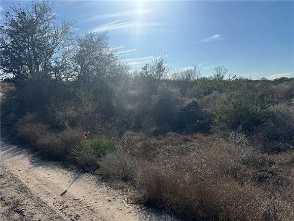 15 Acres of Recreational Land for Sale in Orange Grove, Texas