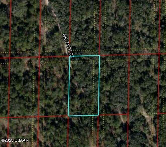 1.25 Acres of Residential Land for Sale in Bronson, Florida