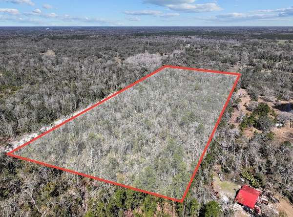 20 Acres of Recreational Land for Sale in Old Town, Florida