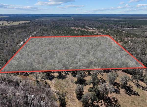 40 Acres of Recreational Land for Sale in Old Town, Florida