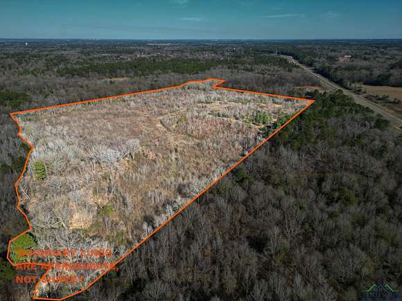 44 Acres of Recreational Land for Sale in Kilgore, Texas