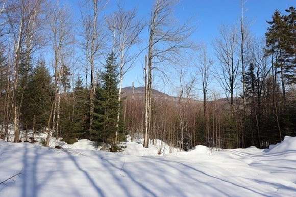 2.57 Acres of Residential Land for Sale in Belvidere Town, Vermont