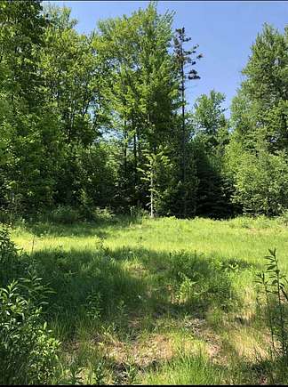 2.57 Acres of Residential Land for Sale in Belvidere Town, Vermont