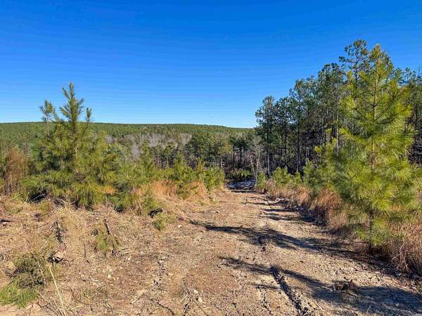 16 Acres of Recreational & Residential Land for Sale in Quitman, Arkansas