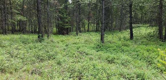 5.59 Acres of Land for Sale in Eureka, Montana