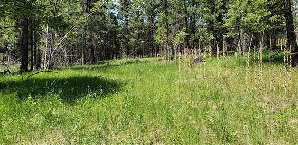 6.33 Acres of Residential Land for Sale in Eureka, Montana