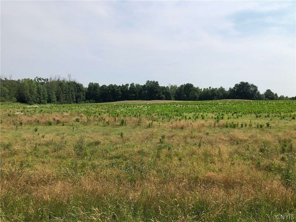 4 Acres of Residential Land for Sale in Oswego, New York