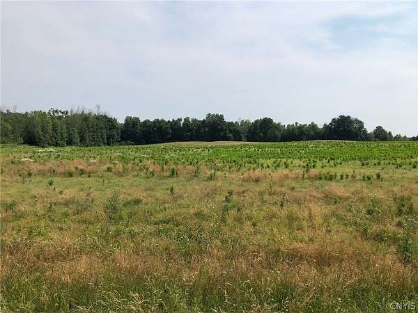 4 Acres of Residential Land for Sale in Oswego, New York