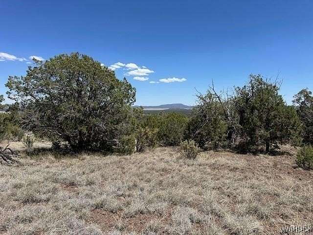 36.1 Acres of Recreational Land for Sale in Seligman, Arizona