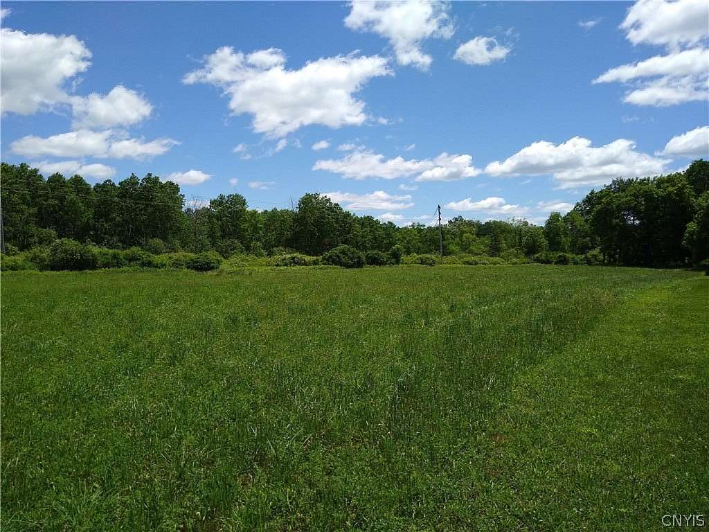 8.55 Acres of Land for Sale in Hamilton, New York