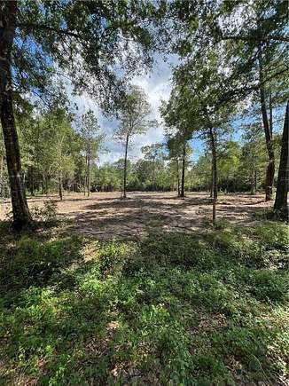 2.5 Acres of Residential Land for Sale in Plantersville, Texas