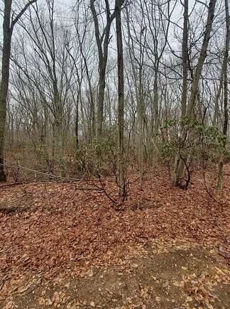 2.25 Acres of Residential Land for Sale in St. James, New York