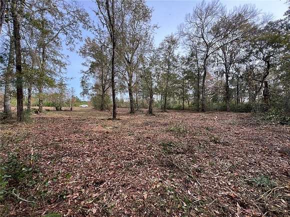 1 Acre of Residential Land for Sale in Brunswick, Georgia