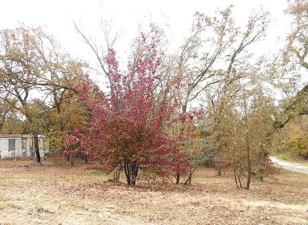 0.18 Acres of Residential Land for Sale in Murchison, Texas