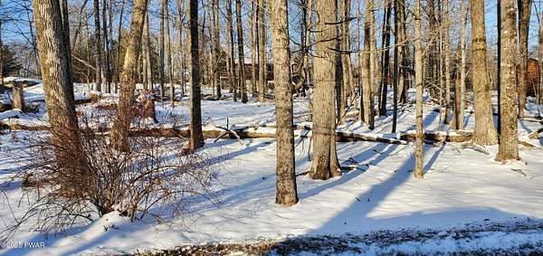 0.94 Acres of Residential Land for Sale in Greentown, Pennsylvania