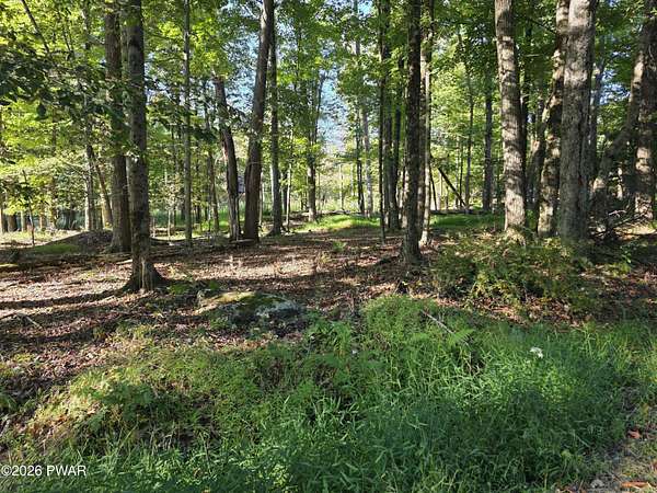 0.94 Acres of Residential Land for Sale in Greentown, Pennsylvania