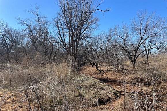 96 Acres of Recreational Land & Farm for Sale in Spur, Texas