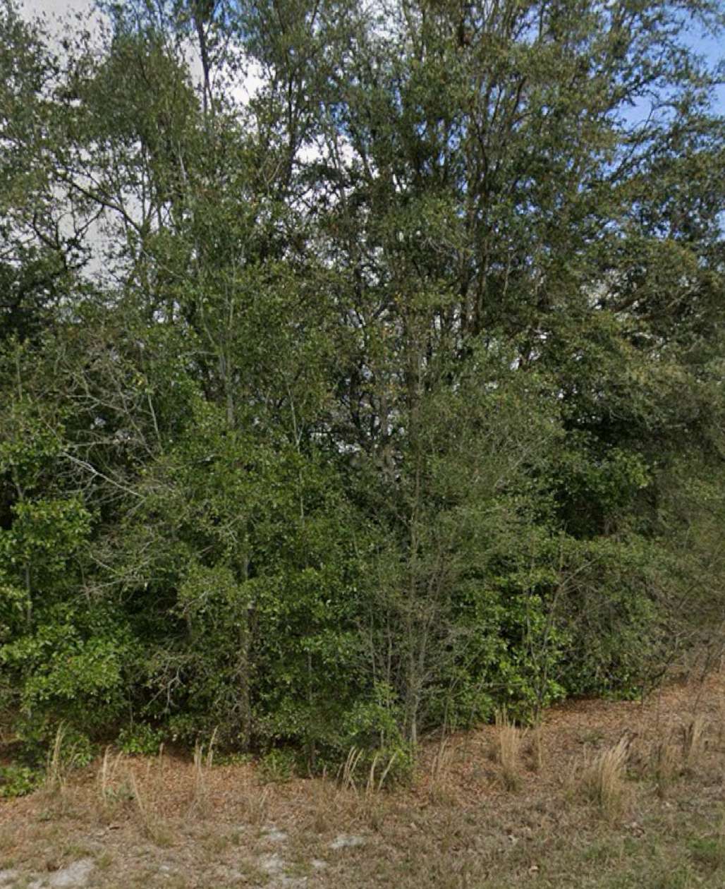 0.22 Acres of Residential Land for Sale in Ocala, Florida