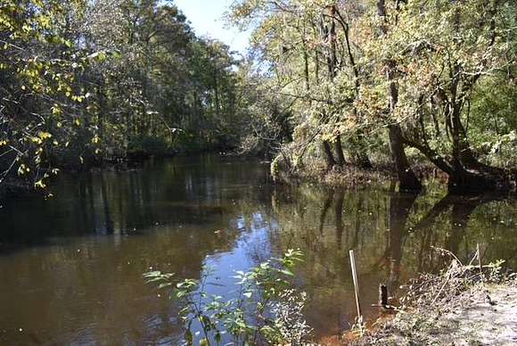 53.4 Acres of Recreational Land & Farm for Sale in Cope, South Carolina