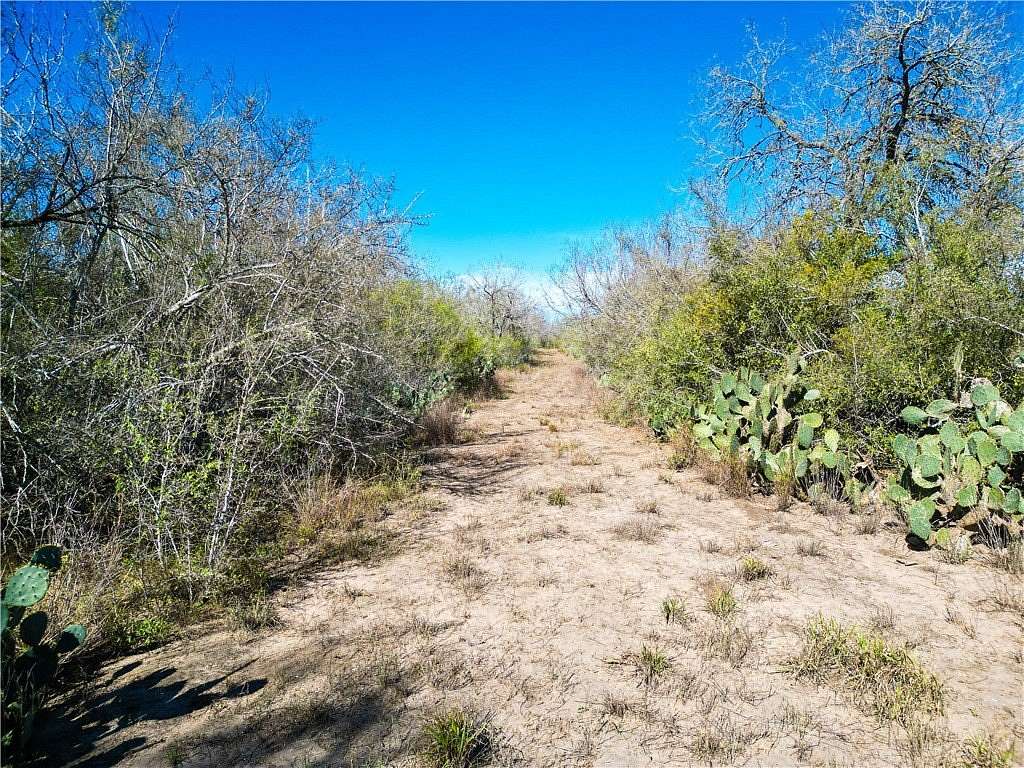 74.4 Acres of Recreational Land for Sale in George West, Texas