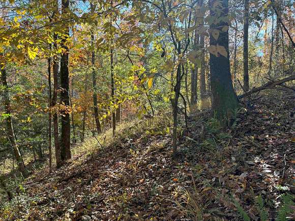 228 Acres of Land for Sale in Chattahoochee, Florida