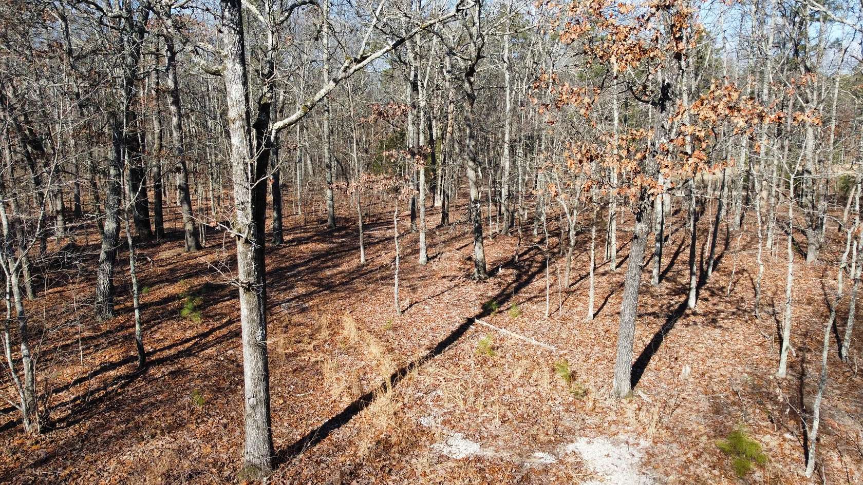 10 Acres of Recreational Land for Sale in Winona, Missouri