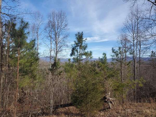 1 Acre of Residential Land for Sale in Young Harris, Georgia