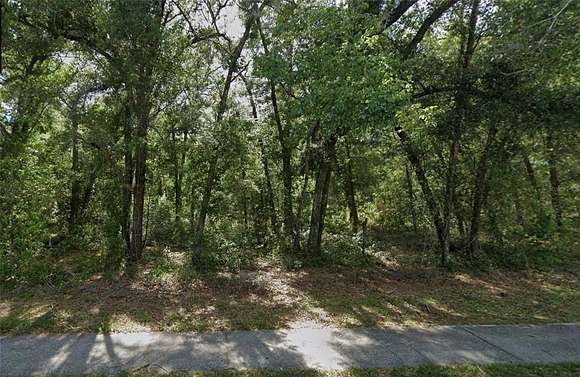 5 Acres of Land for Sale in Lake Helen, Florida