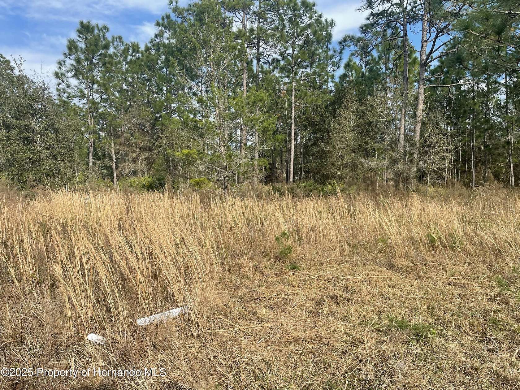 1.46 Acres of Commercial Land for Sale in Brooksville, Florida