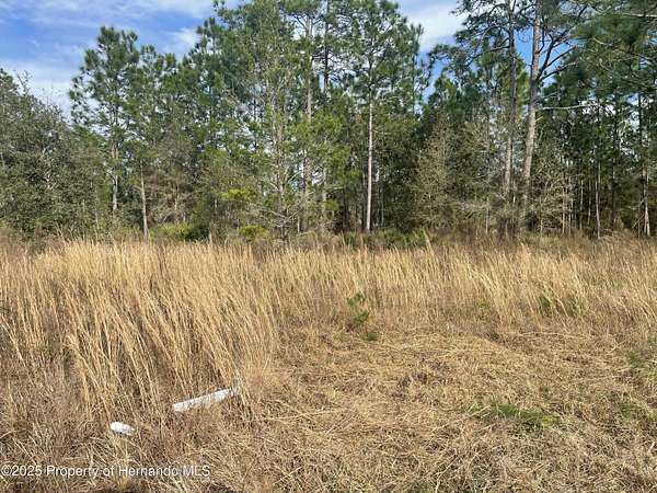 1.46 Acres of Commercial Land for Sale in Brooksville, Florida