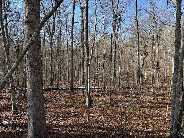 4.3 Acres of Land for Sale in Monterey, Tennessee