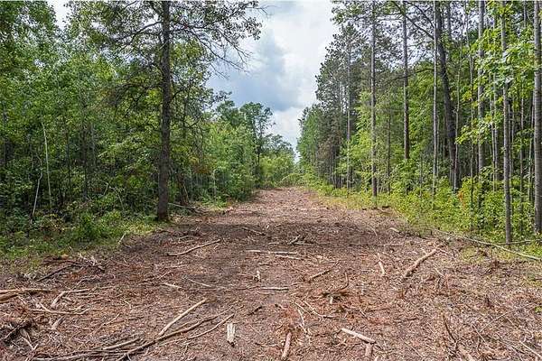 5 Acres of Land for Sale in Mission Township, Minnesota