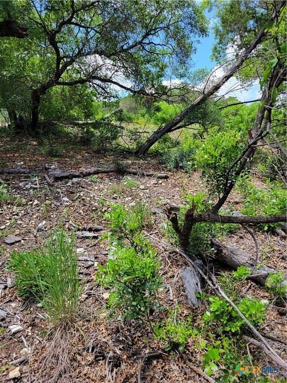 2 Acres of Residential Land for Sale in Mico, Texas