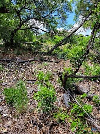 2 Acres of Residential Land for Sale in Mico, Texas