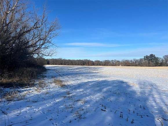 20 Acres of Agricultural Land for Sale in East Bethel, Minnesota