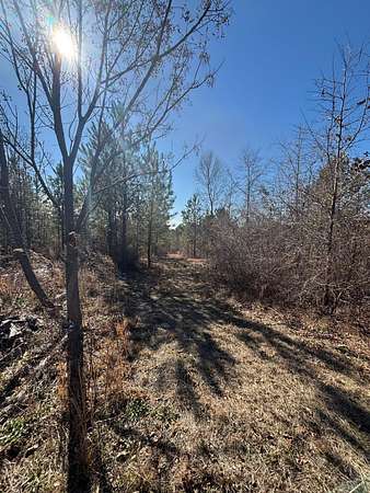 45.8 Acres of Recreational Land for Sale in Mitchell, Georgia