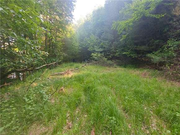 4.02 Acres of Residential Land for Sale in Hancock, New York