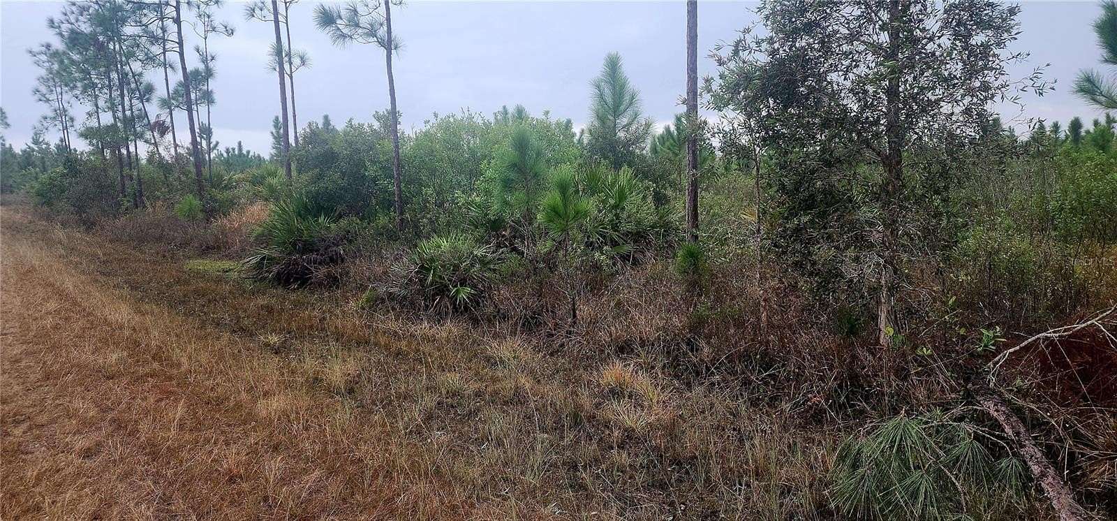 0.5 Acres of Residential Land for Sale in Indian Lake Estates, Florida
