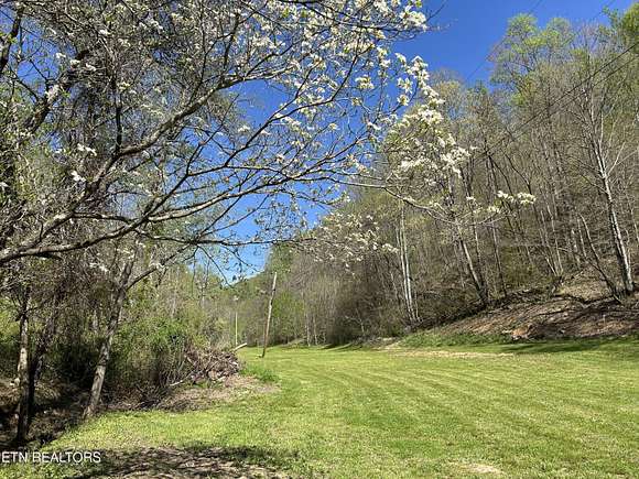 36 Acres of Agricultural Land for Sale in Sneedville, Tennessee